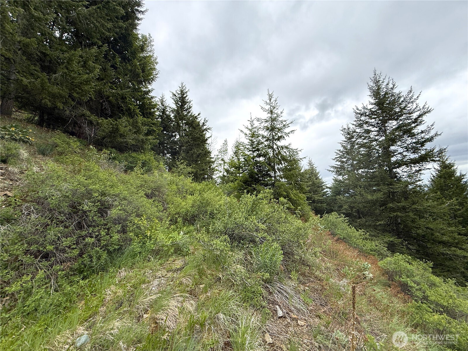 0 Pontiac Ridge Road Property Photo 13