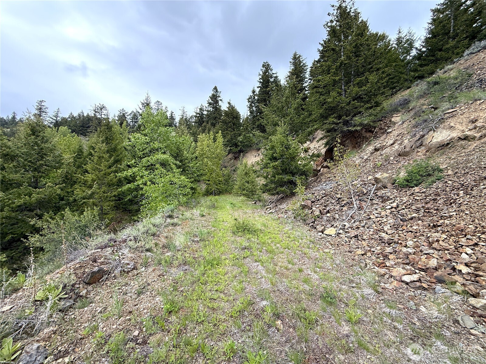 0 Pontiac Ridge Road Property Photo 20