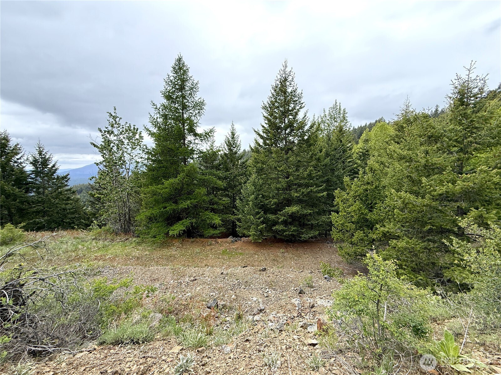 0 Pontiac Ridge Road Property Photo 21