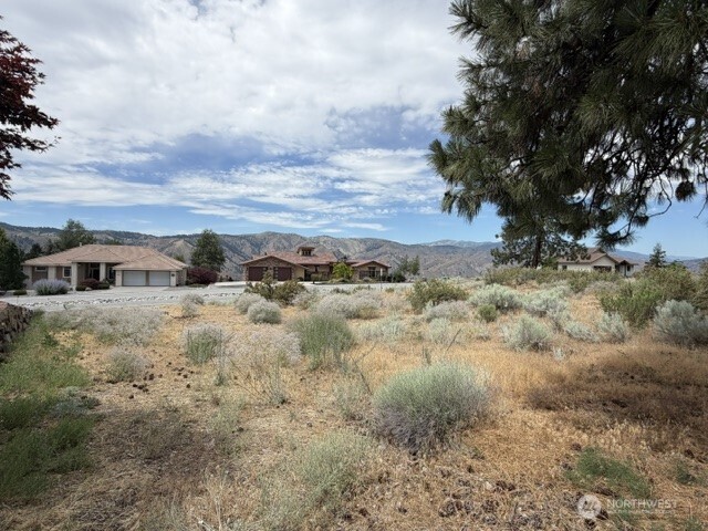 601 Desert Canyon Boulevard Property Photo 3