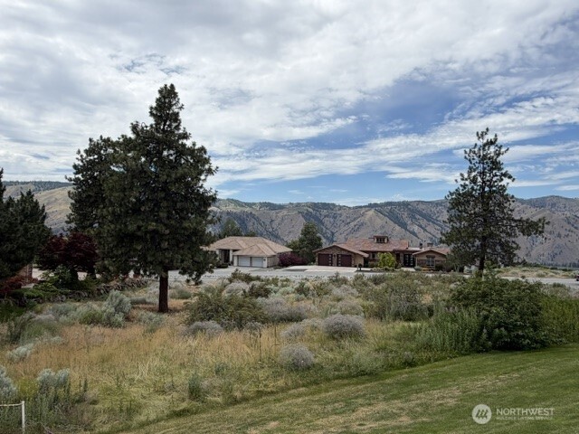 601 Desert Canyon Boulevard Property Photo 4