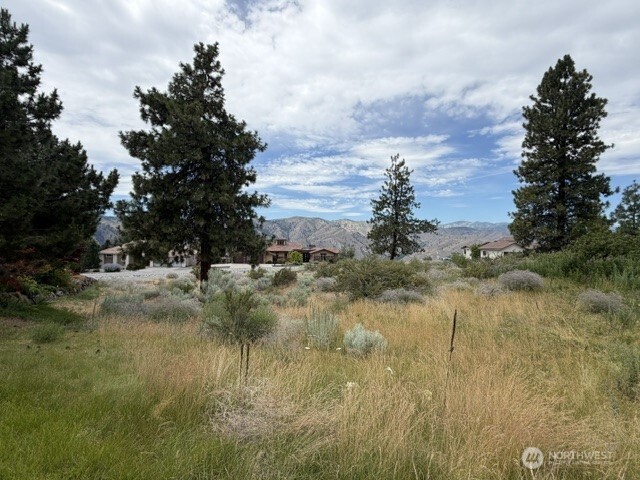 601 Desert Canyon Boulevard Property Photo 6