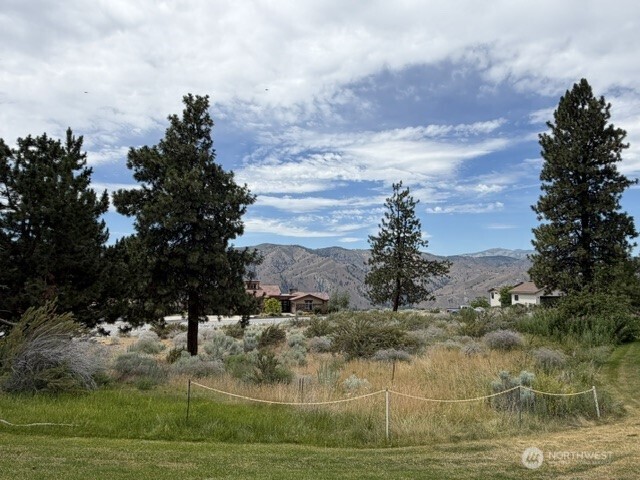 601 Desert Canyon Boulevard Property Photo 8