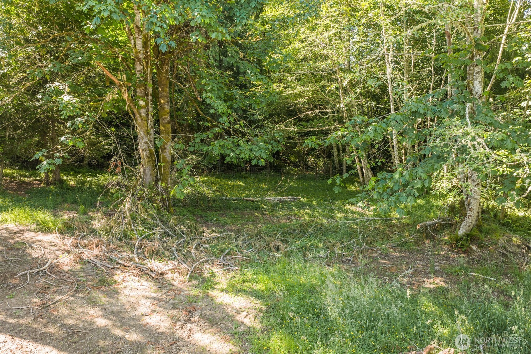 244 Fielding Creek Drive Property Photo 25