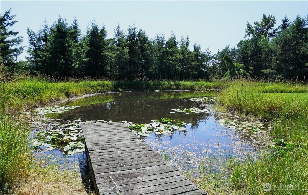 41019 Dean Kreger Road Property Photo 2