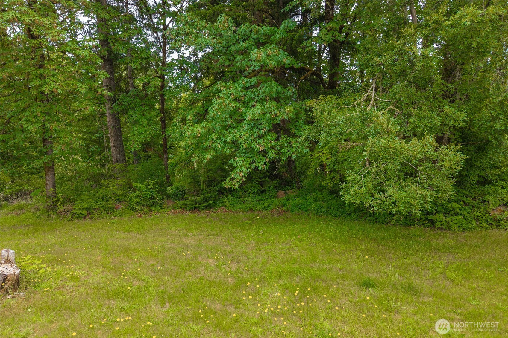 4248 Libby Road Property Photo 8
