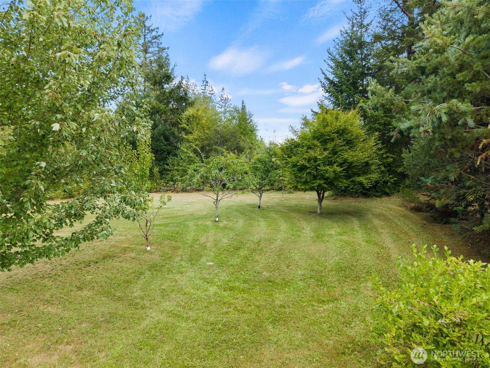 1303 E Alta Drive Property Photo 18