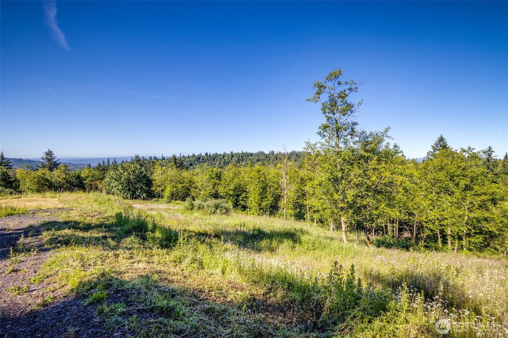 268 Walker Road Property Photo 4