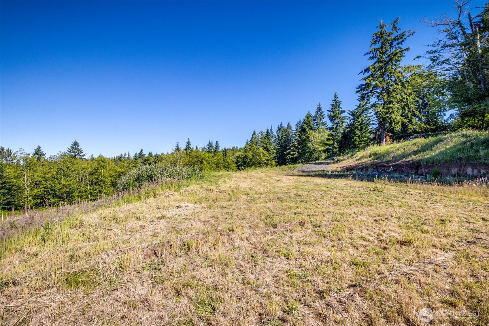 268 Walker Road Property Photo 6