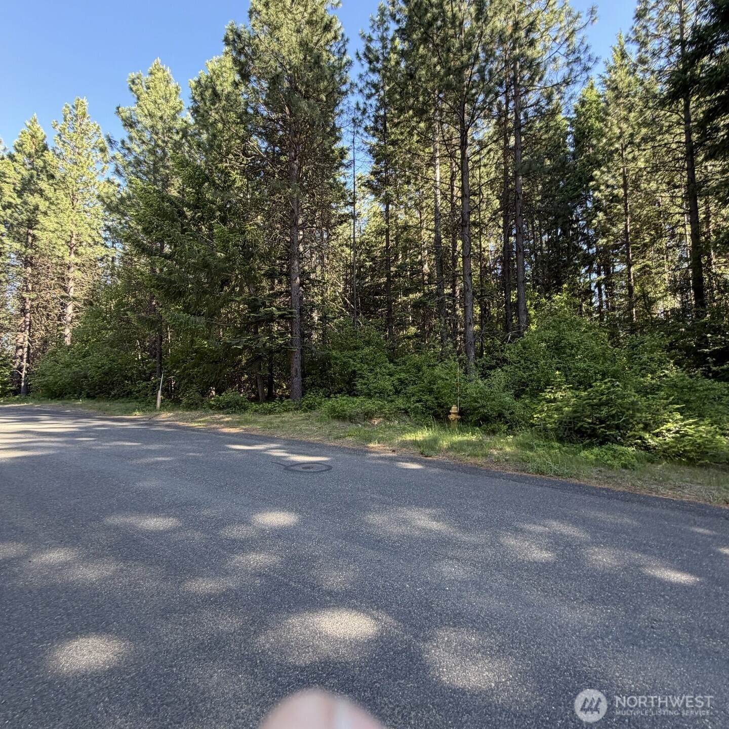 710 Iron Monarch Loop Property Photo 2