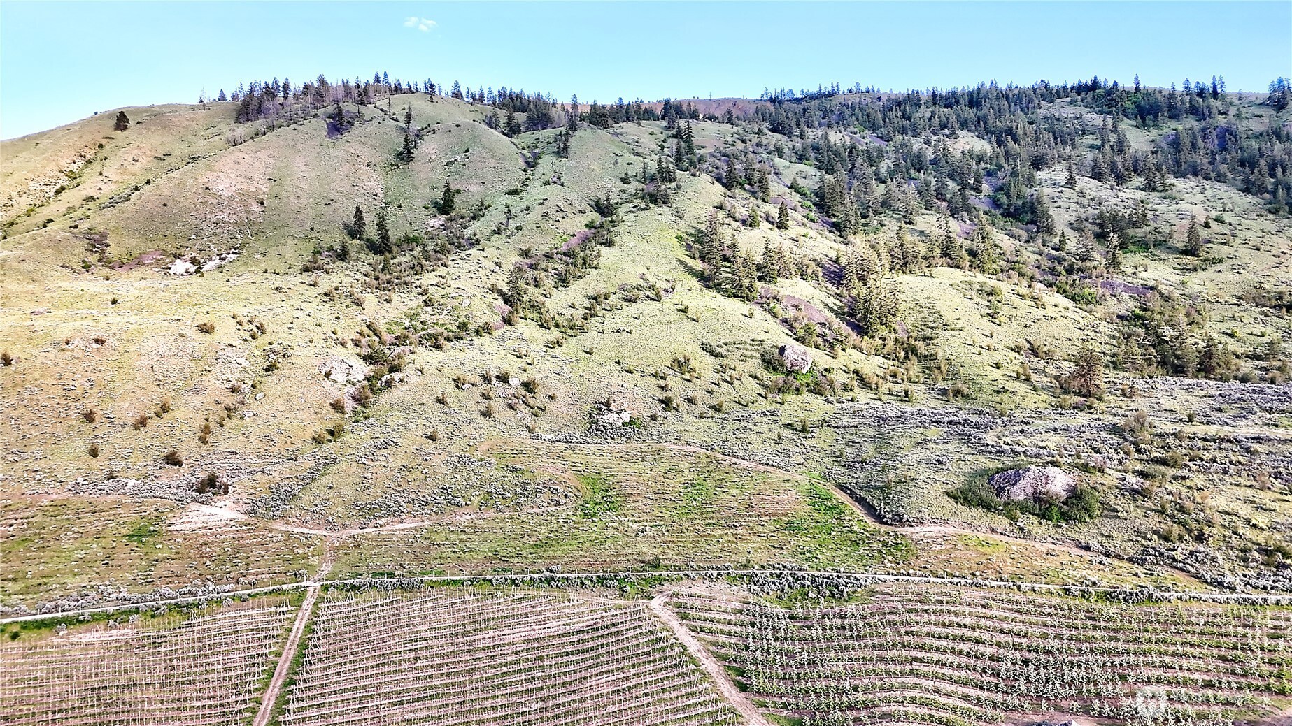 0 Farnham Canyon (lot 2) Road Property Photo 6