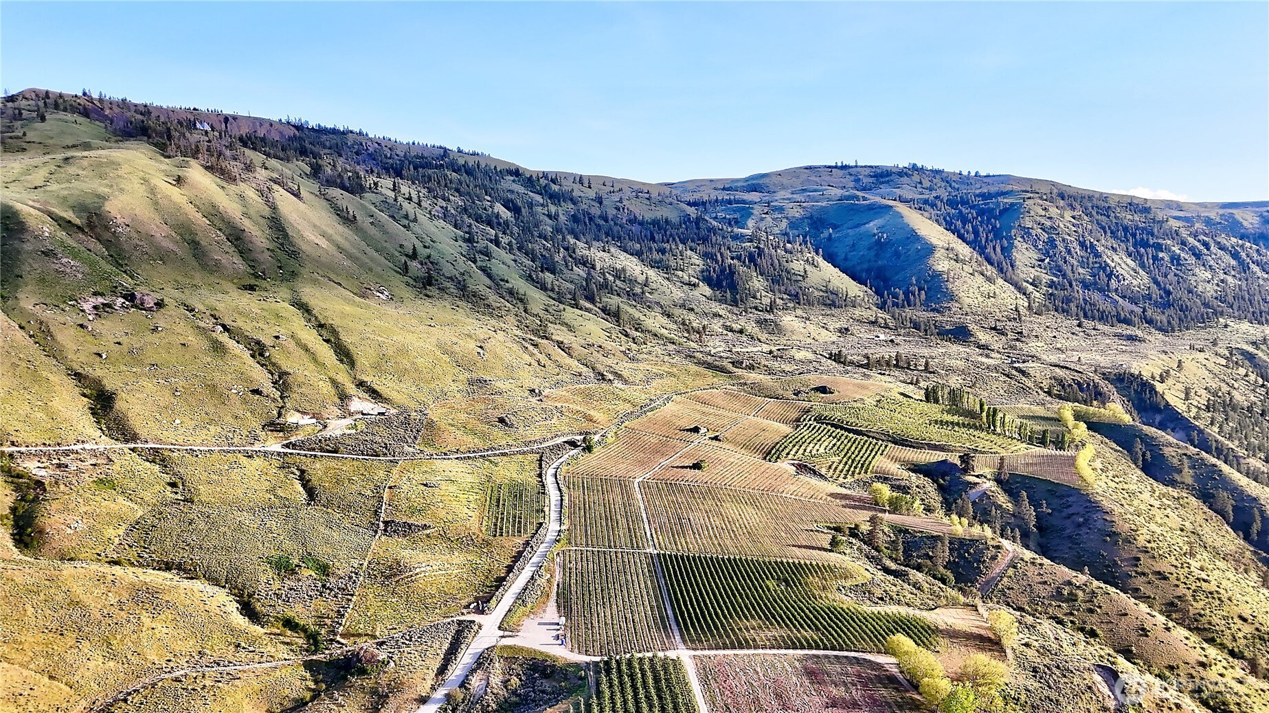 0 Farnham Canyon (lot 2) Road Property Photo 21