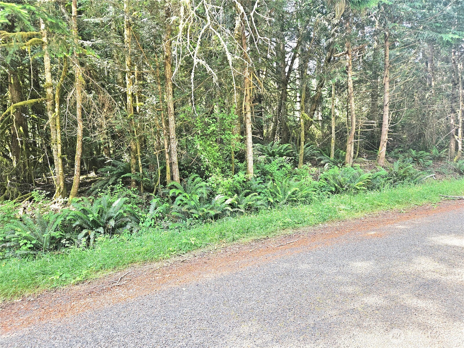 124 E Go Onna Drive Property Photo 1