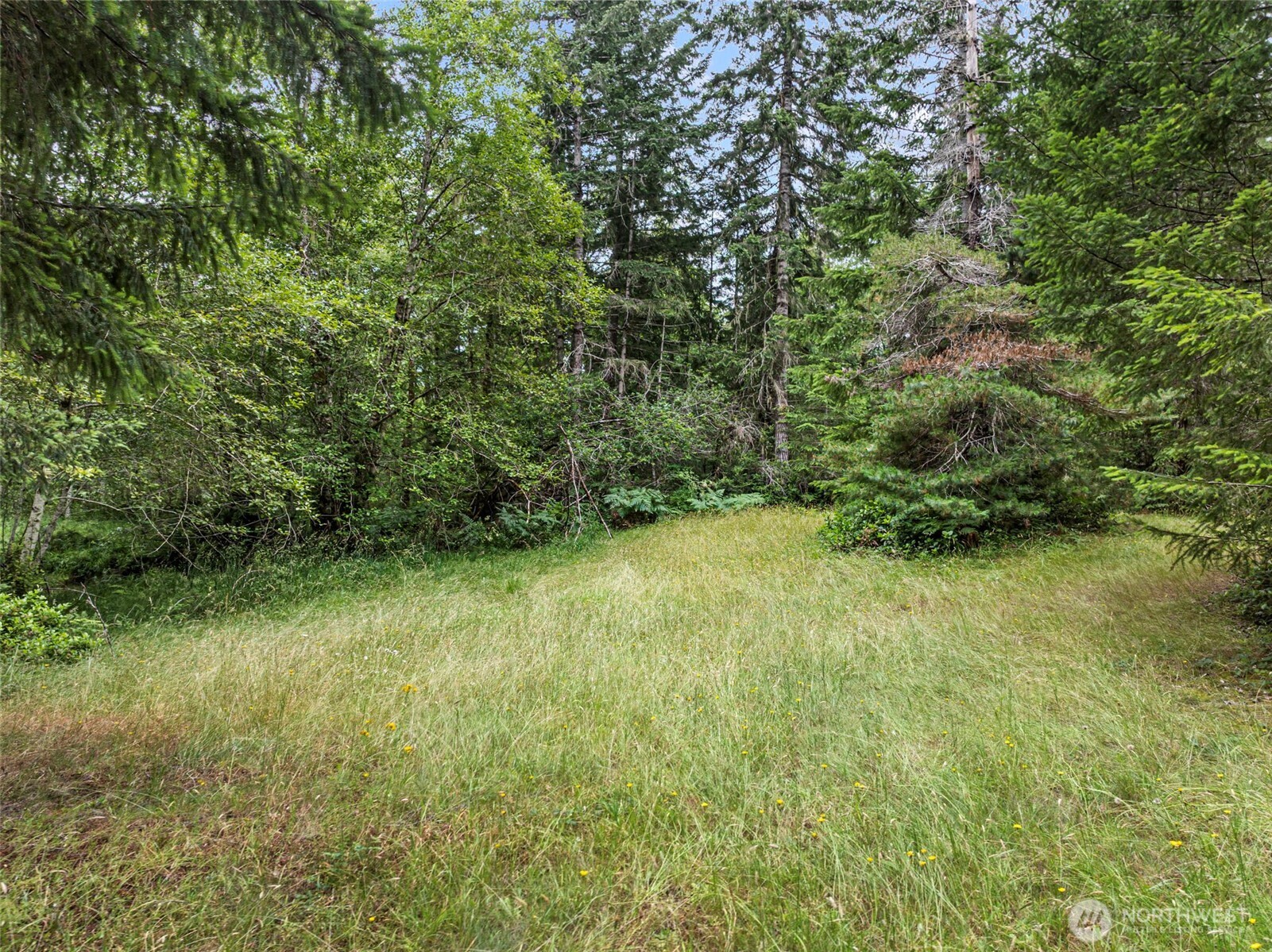 101 Ne Smithy Forge Lane Property Photo 8