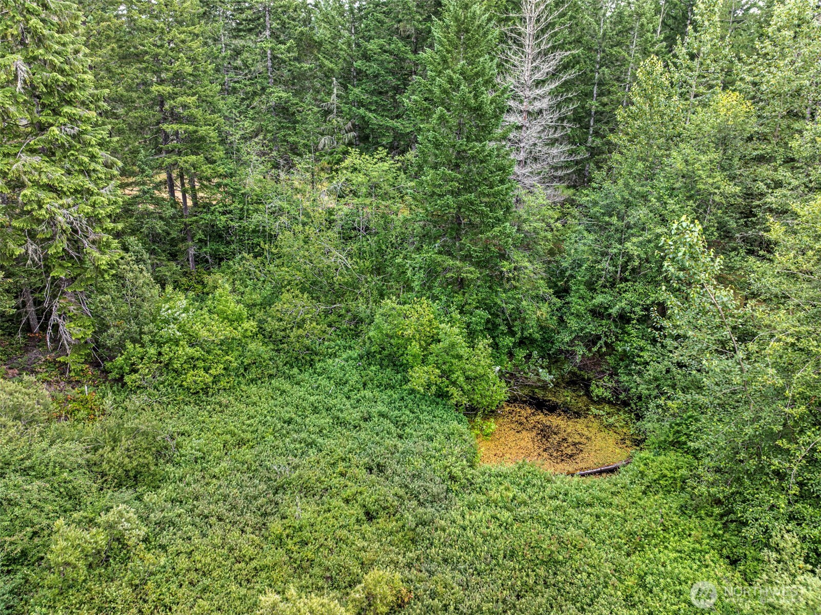 101 Ne Smithy Forge Lane Property Photo 13