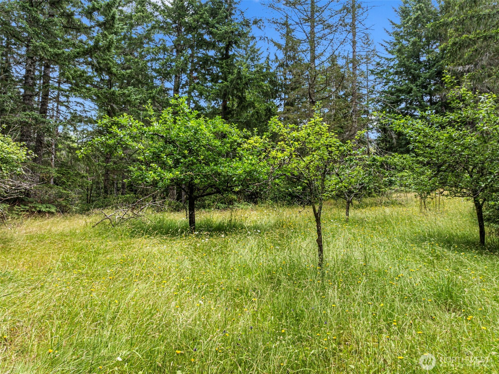 101 Ne Smithy Forge Lane Property Photo 18