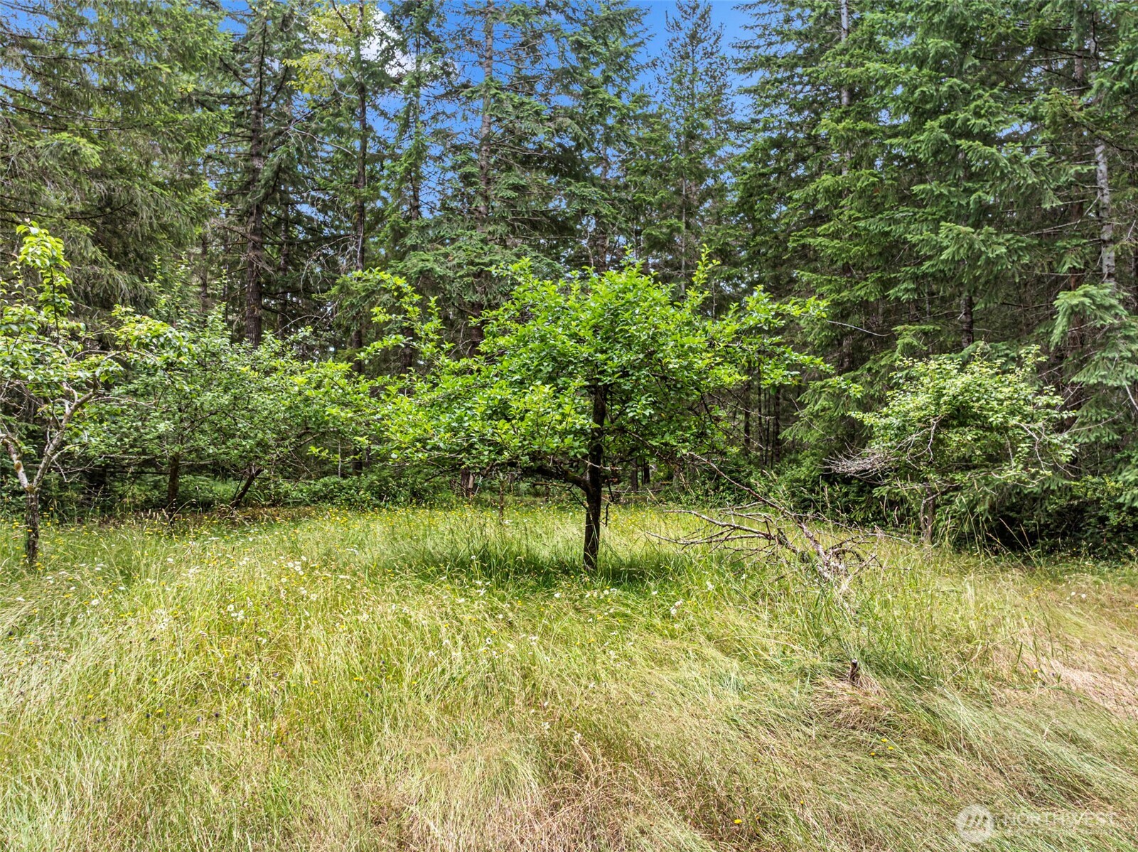 101 Ne Smithy Forge Lane Property Photo 19