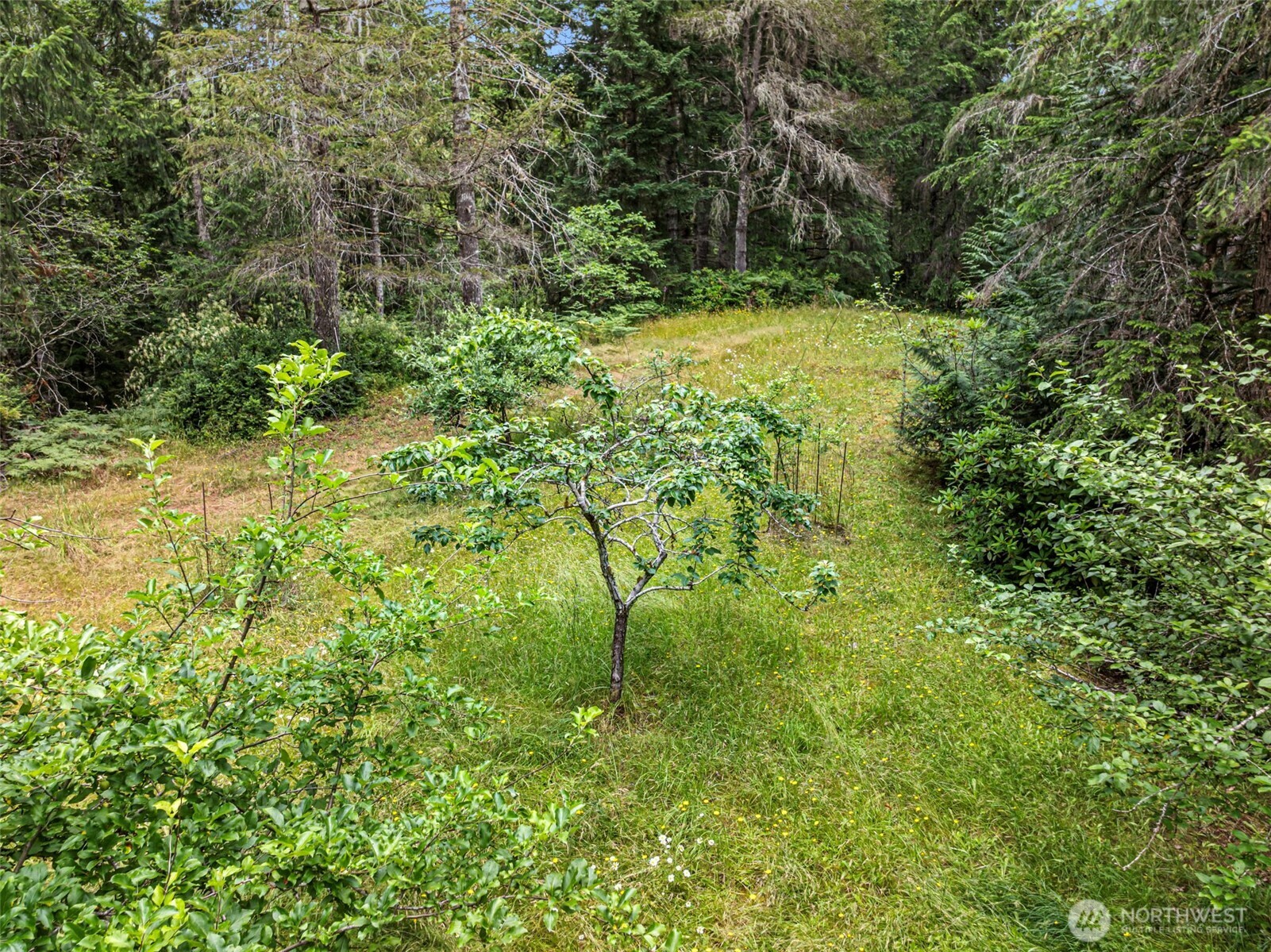 101 Ne Smithy Forge Lane Property Photo 20