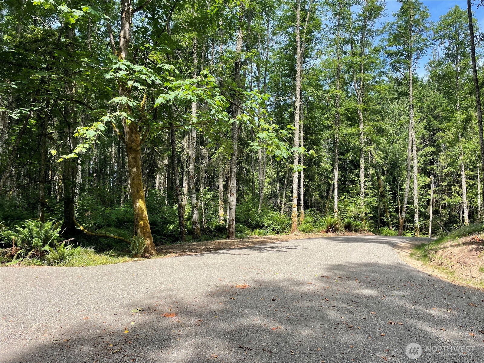 8807 Lot 2 Sr 20 Property Photo 6