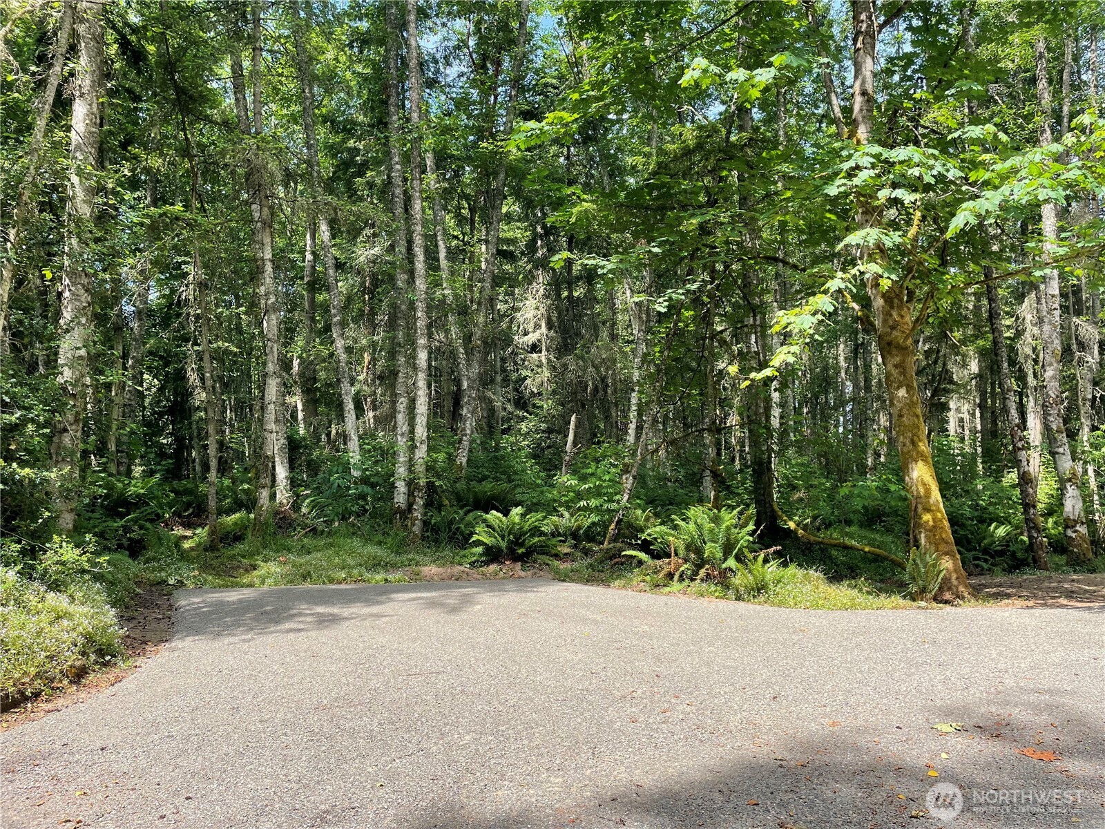 8807 Lot 2 Sr 20 Property Photo 7