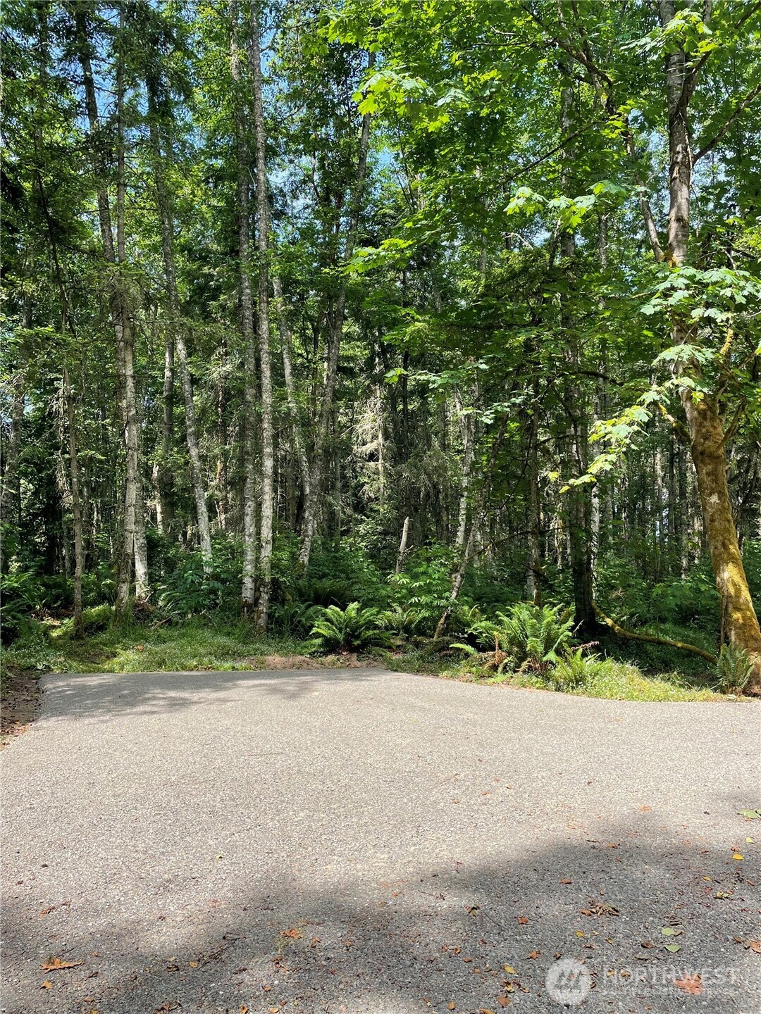 8807 Lot 2 Sr 20 Property Photo 8
