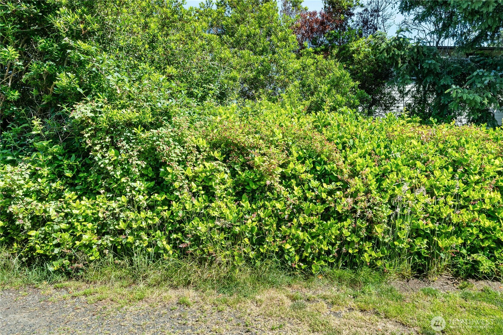 370 -360 Ocean Shores Boulevard Property Photo 4