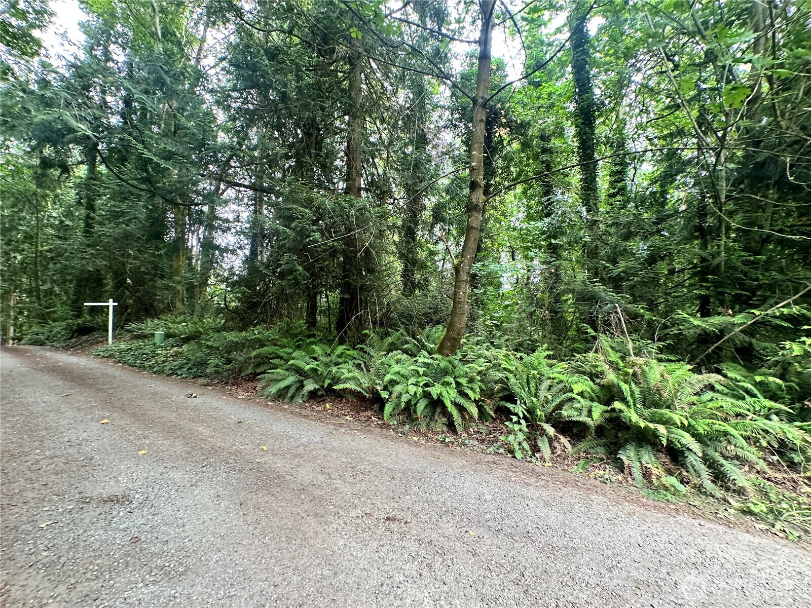 0 Alder Property Photo 4