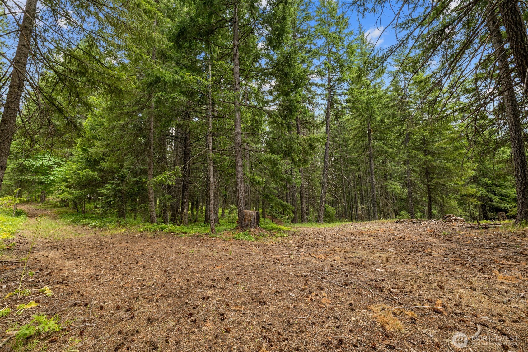 16341 Salmon La Sac Road Property Photo 35