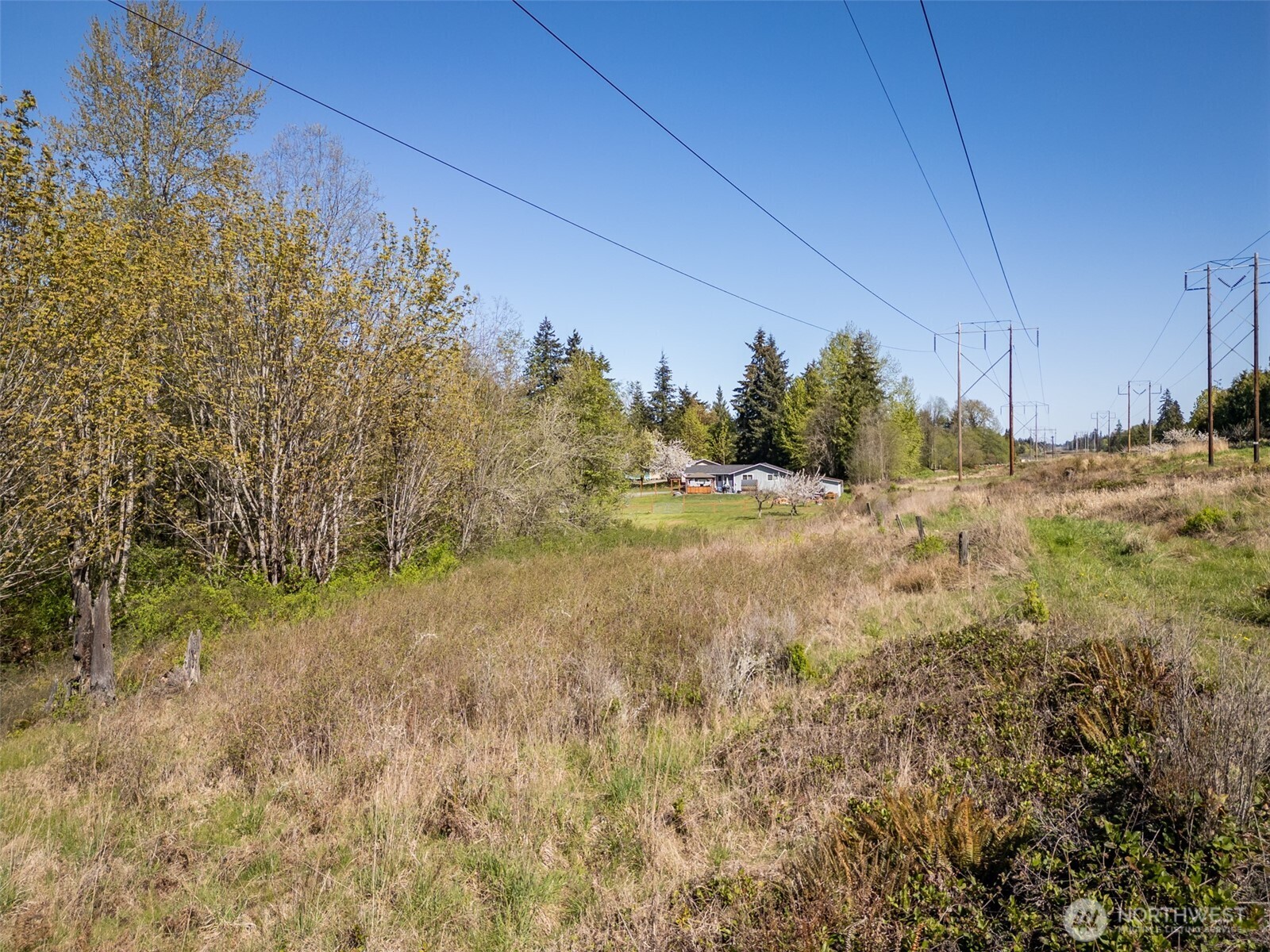 0 Roy Street Property Photo 20