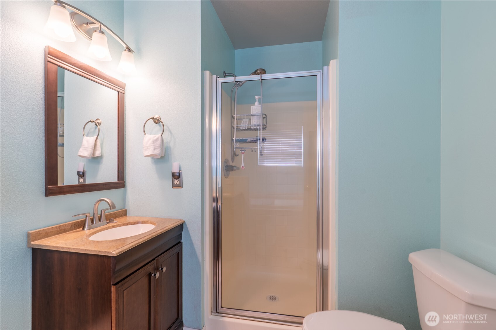 10906 181st Avenue Pl Property Photo 20