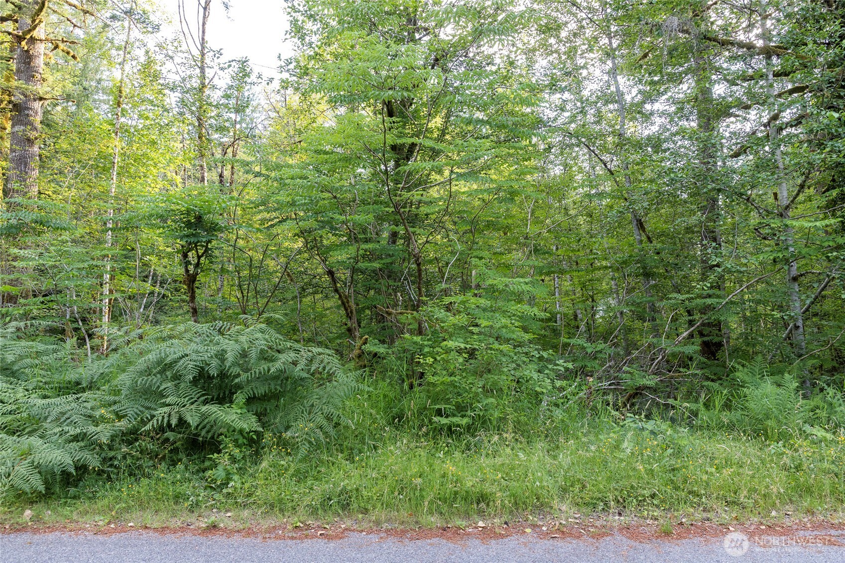 7573 Glacier Springs Drive Property Photo 4