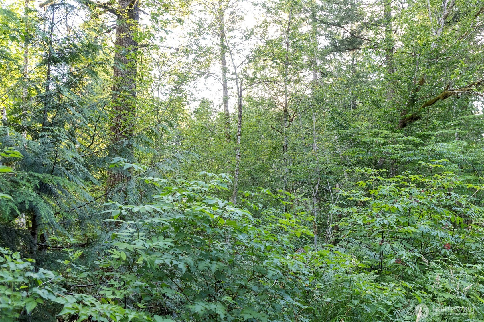 7573 Glacier Springs Drive Property Photo 12