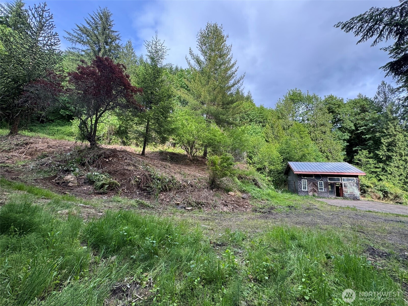 5532 Lewis River Road Property Photo 3