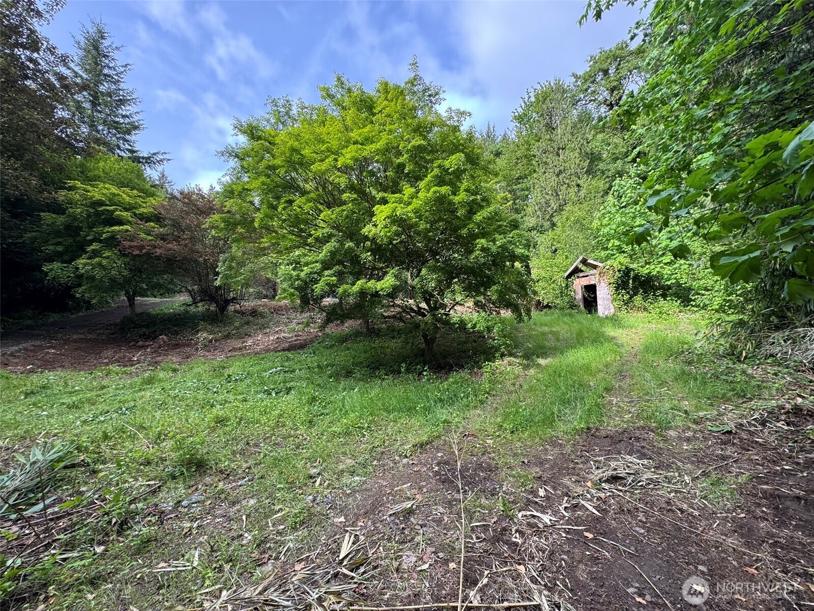 5532 Lewis River Road Property Photo 5