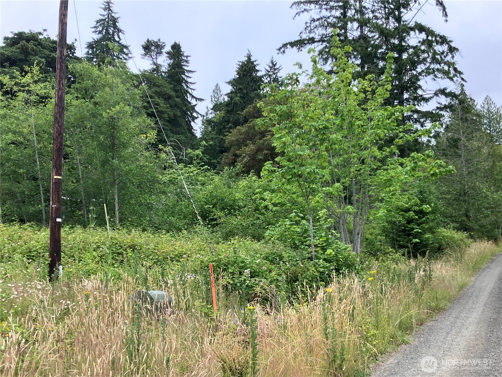 0 N Viken Lane Property Photo 3
