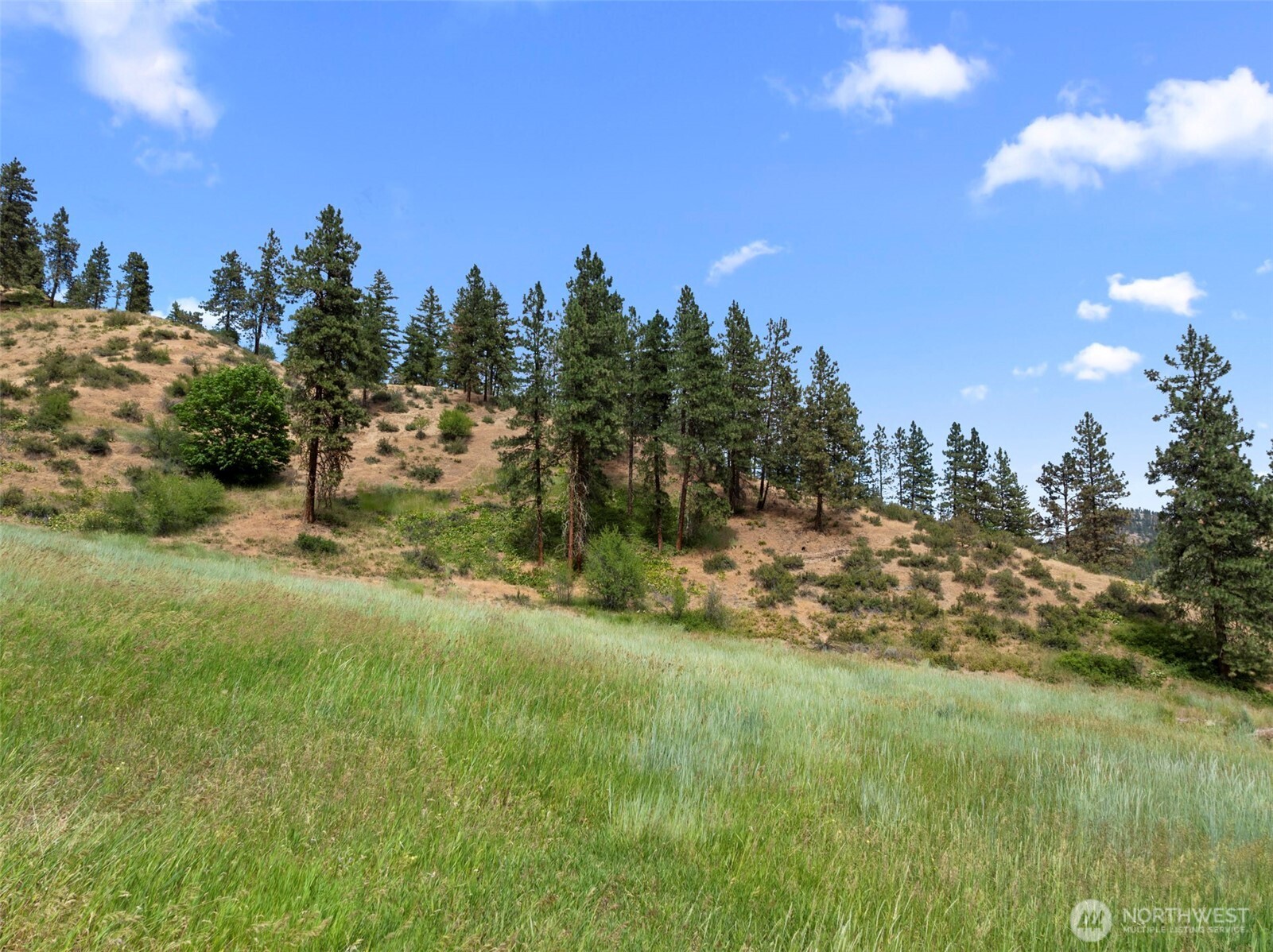 82 67 Karl Downs Lane Property Photo 24