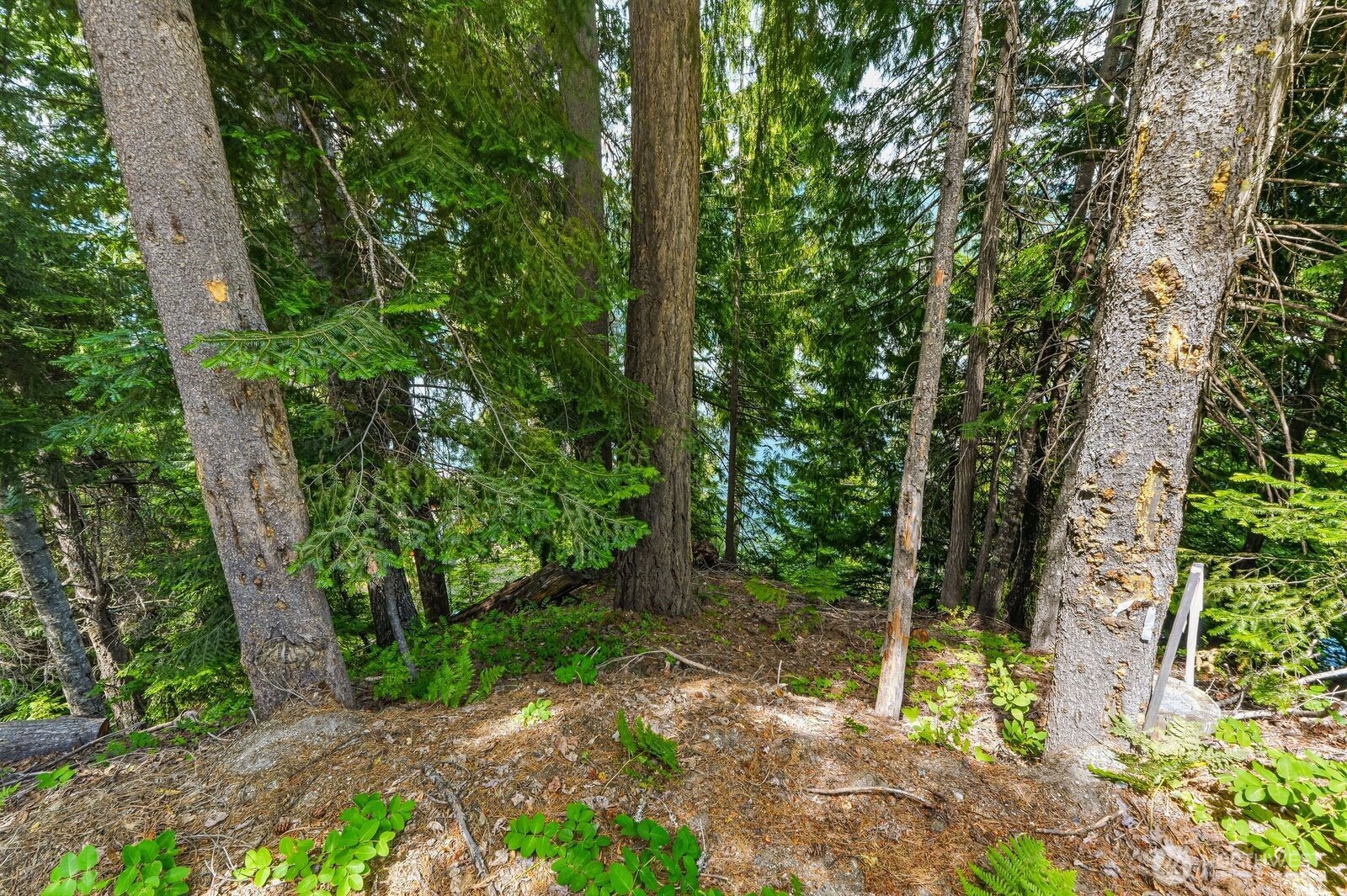 0 Cedar Brae Rd. Property Photo 7