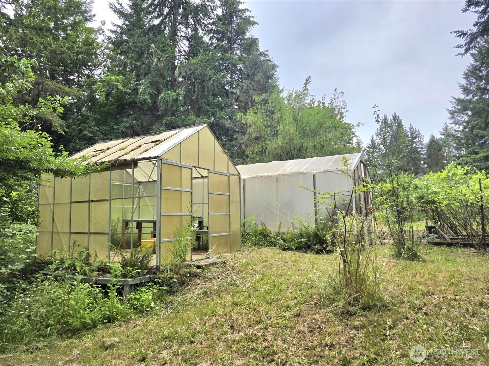 32906 54th Avenue Property Photo 19