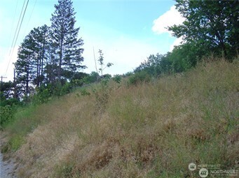0 Nna Riverview Cemetery Road Property Photo 1