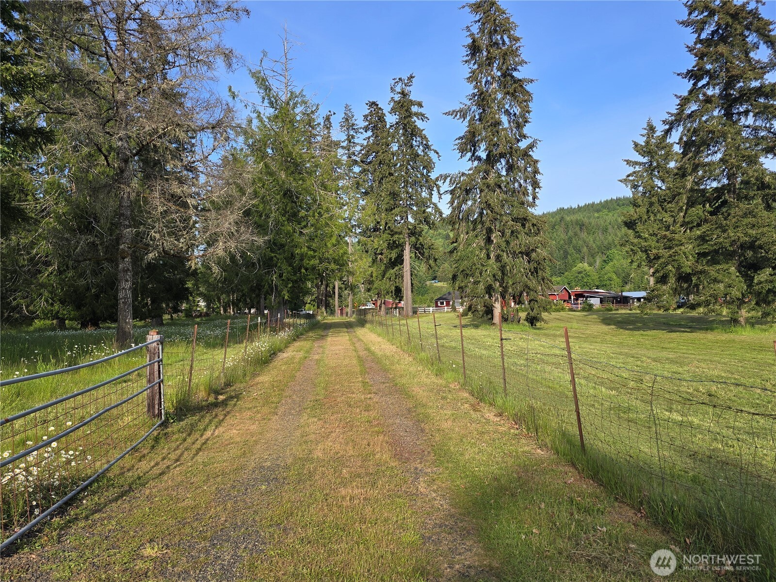0 Nka W Satsop Road Property Photo 15