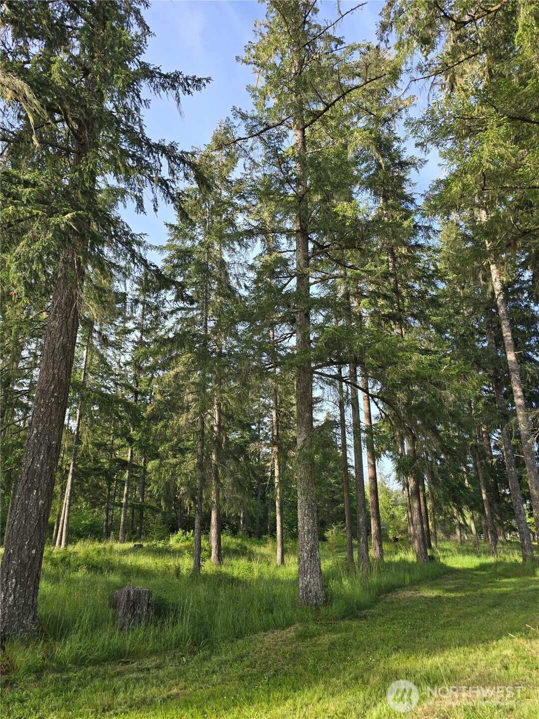 0 Nka W Satsop Road Property Photo 26