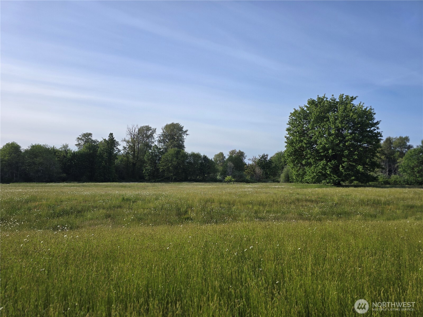 0 Nka W Satsop Road Property Photo 29