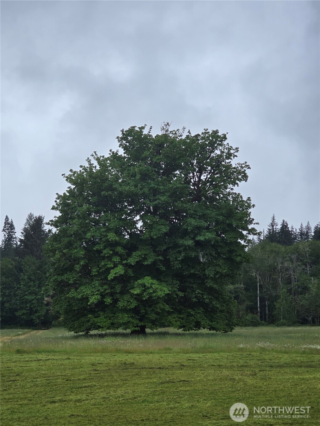 0 Nka W Satsop Road Property Photo 30