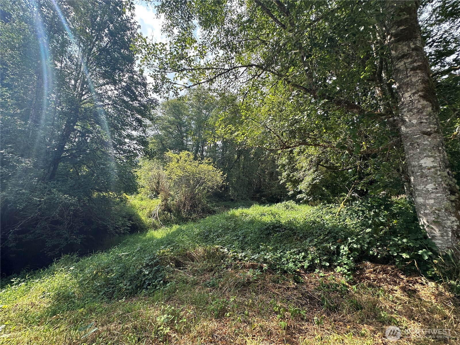 380 Williams Creek Road Property Photo 25