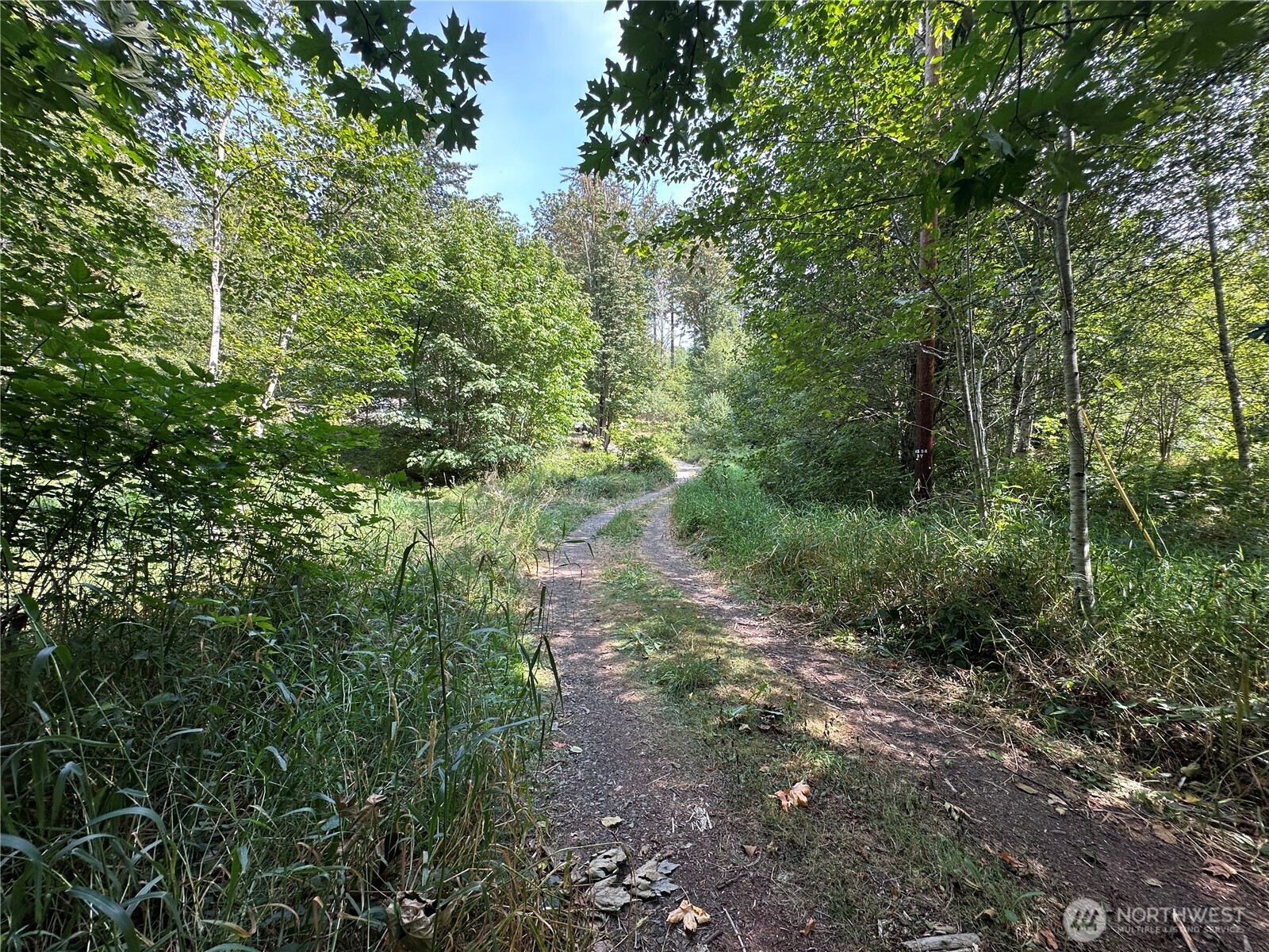 380 Williams Creek Road Property Photo 27