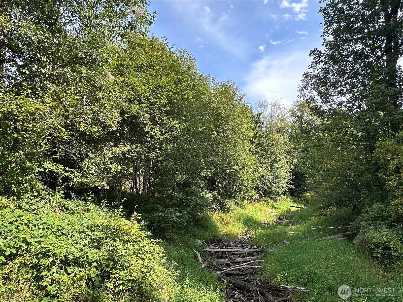 380 Williams Creek Road Property Photo 35