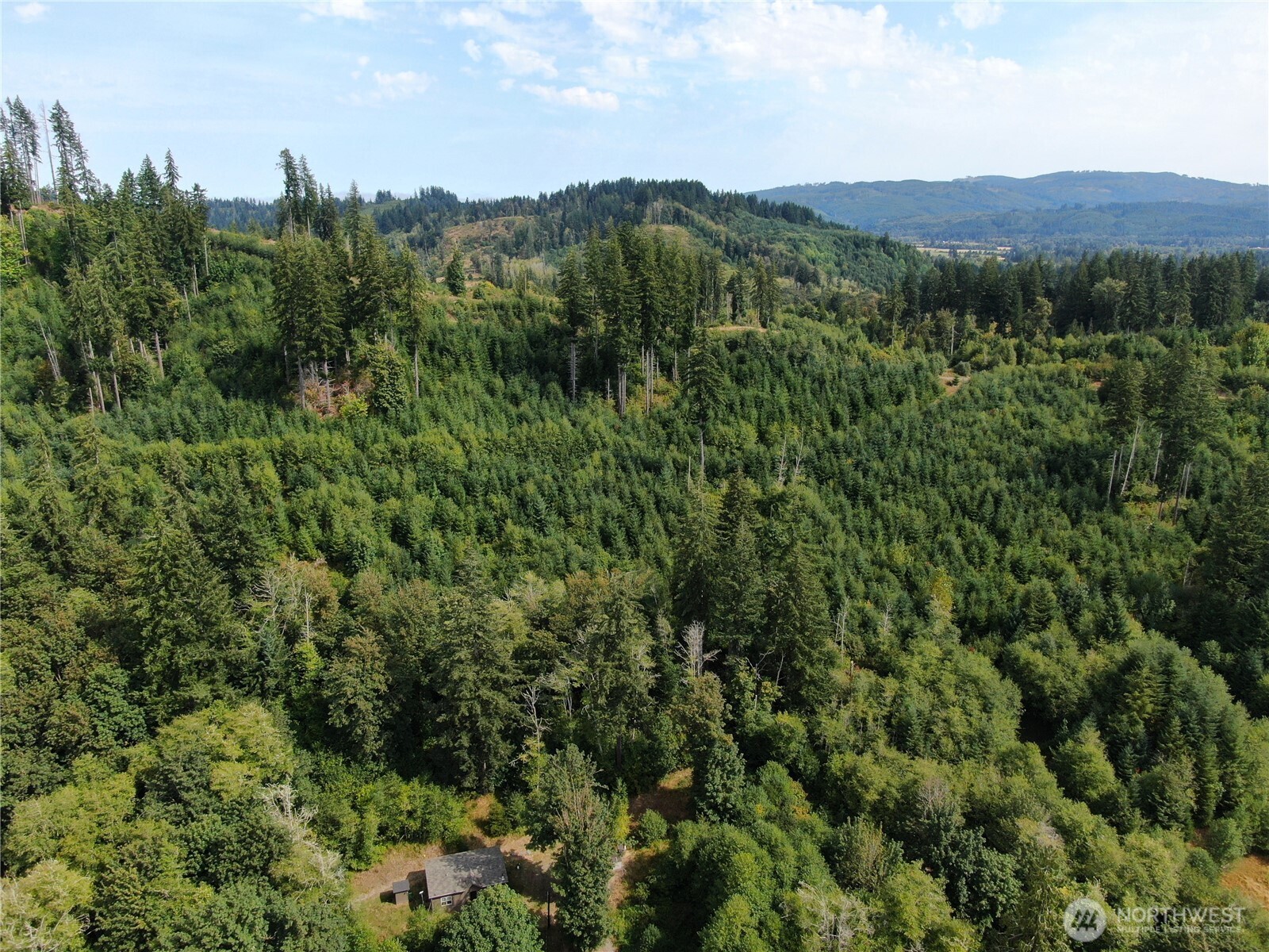 380 Williams Creek Road Property Photo 37
