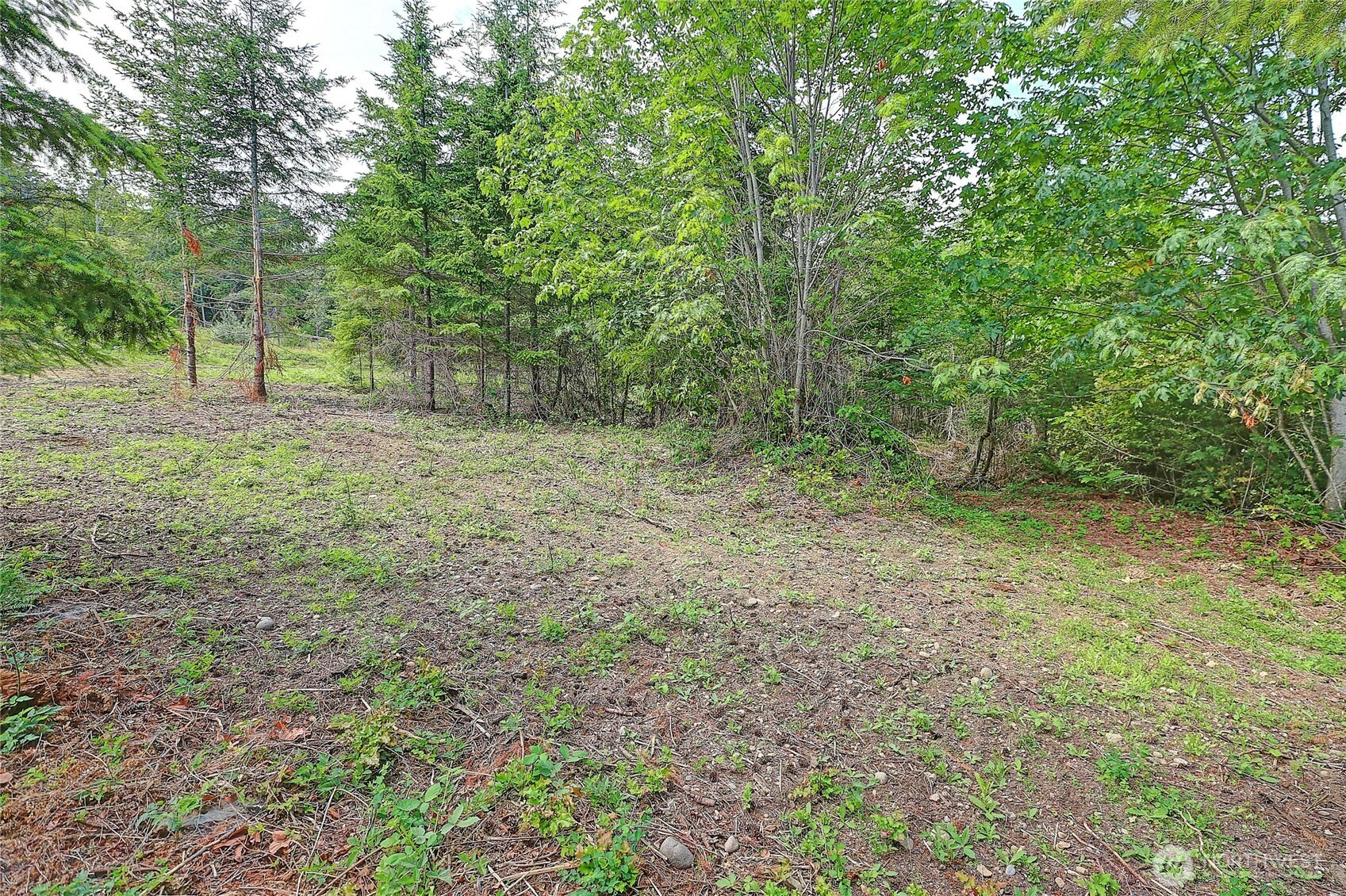 1 J Triangle Cove Lane Property Photo 15
