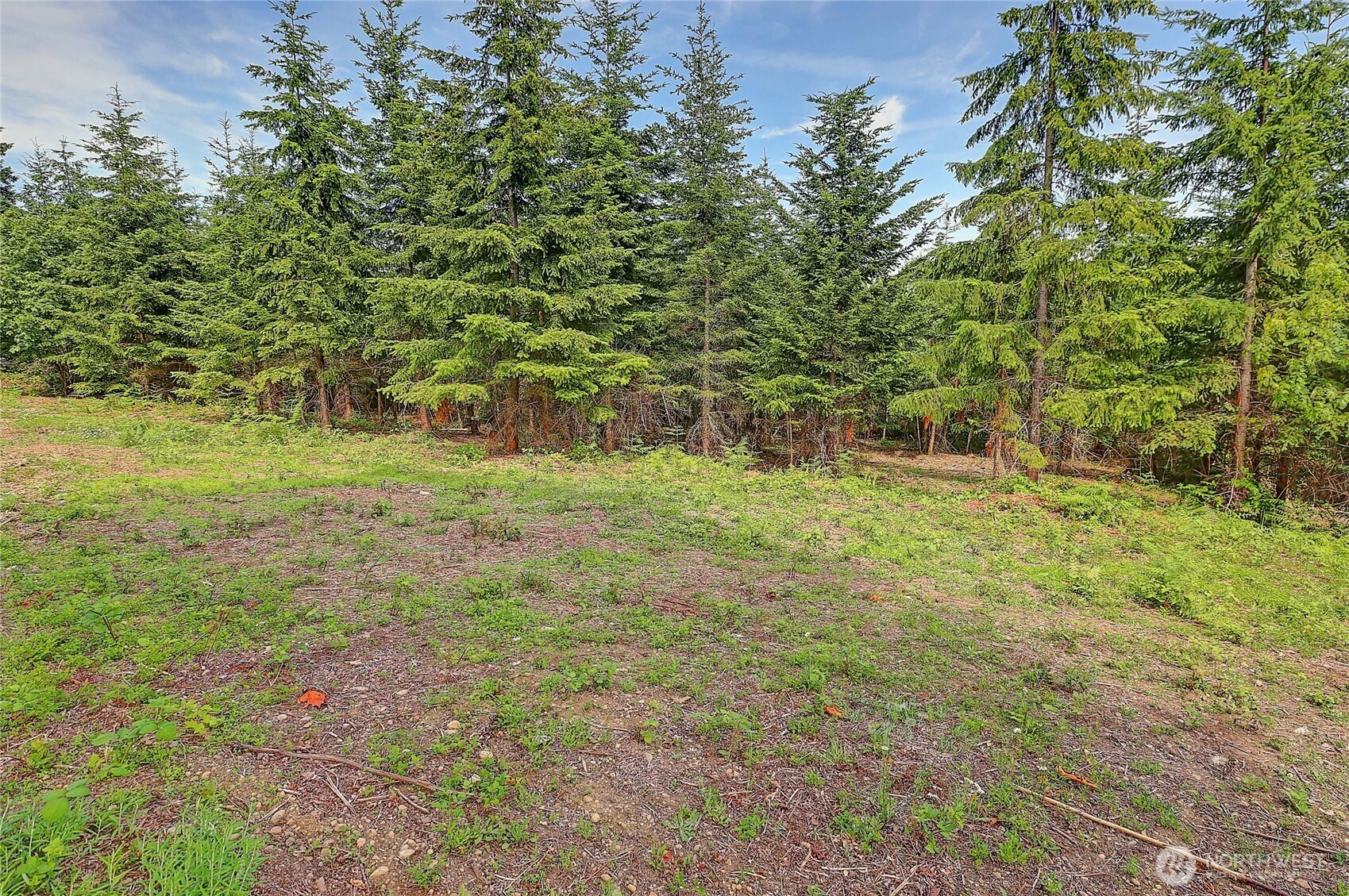 1 J Triangle Cove Lane Property Photo 19