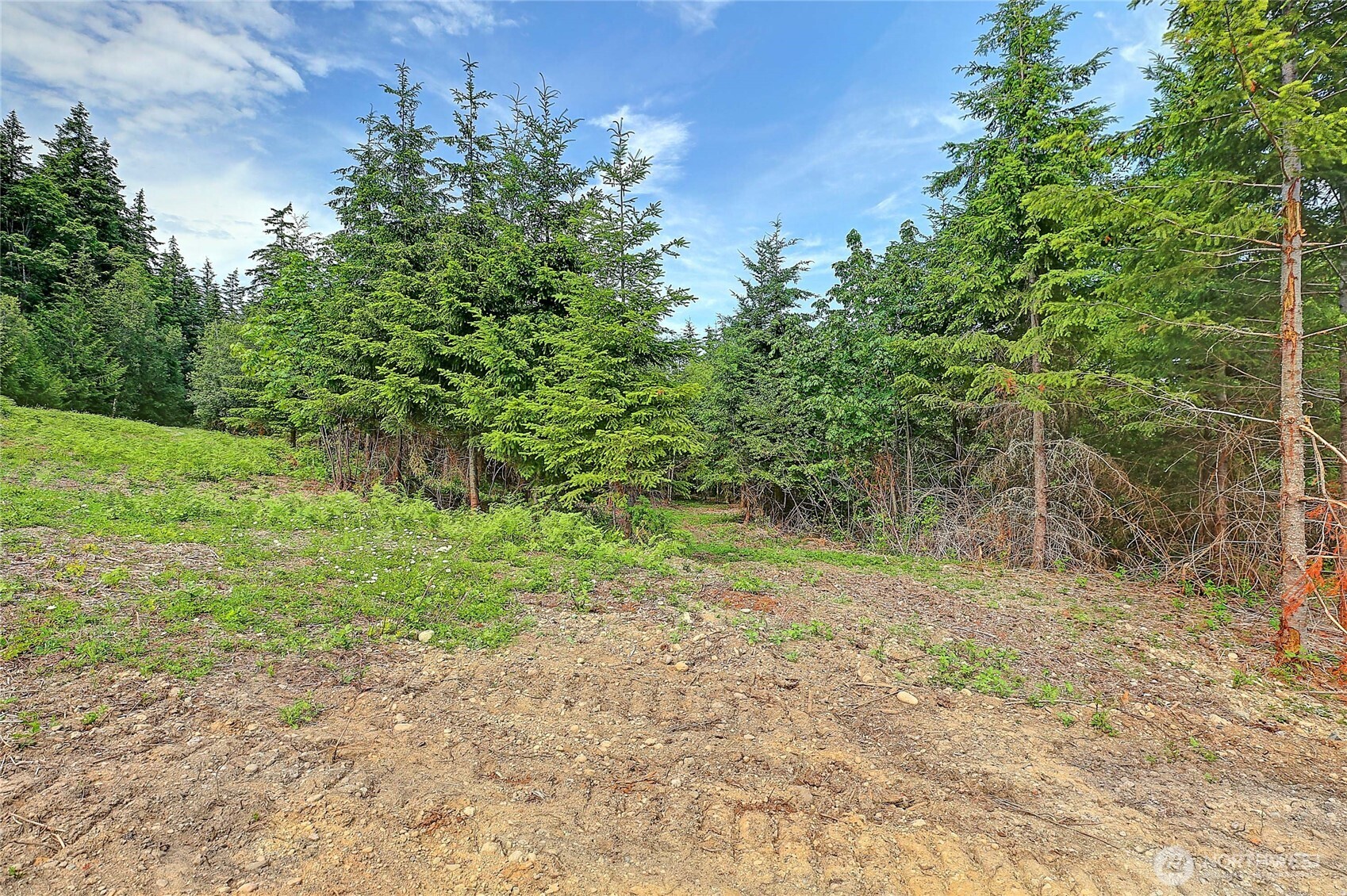 1 I Triangle Cove Lane Property Photo 10